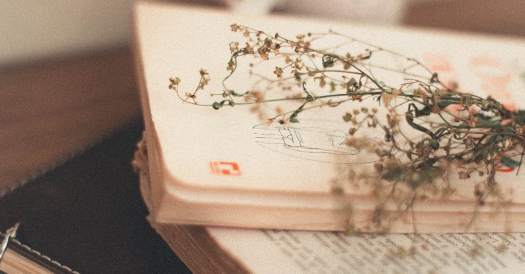 pexels photo 3704611 3704611 Vintage books with delicate flowers creating a nostalgic mood, perfect for literature lovers.