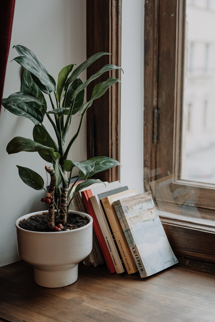 hero-img-02 A serene windowsill featuring a potted plant and neatly arranged books, creating a cozy indoor vibe.