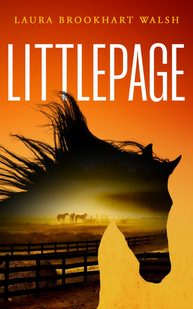 Home Littlepage V2 640x1024