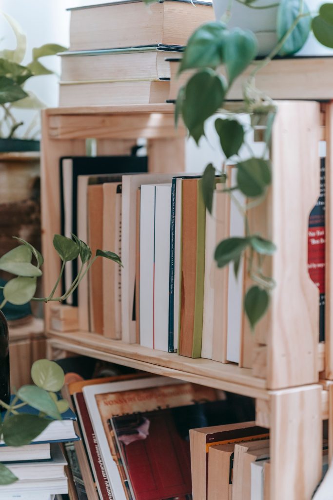 Pile of different books placed on wooden shelves decorated with plant in light room